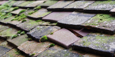 roof repair costs